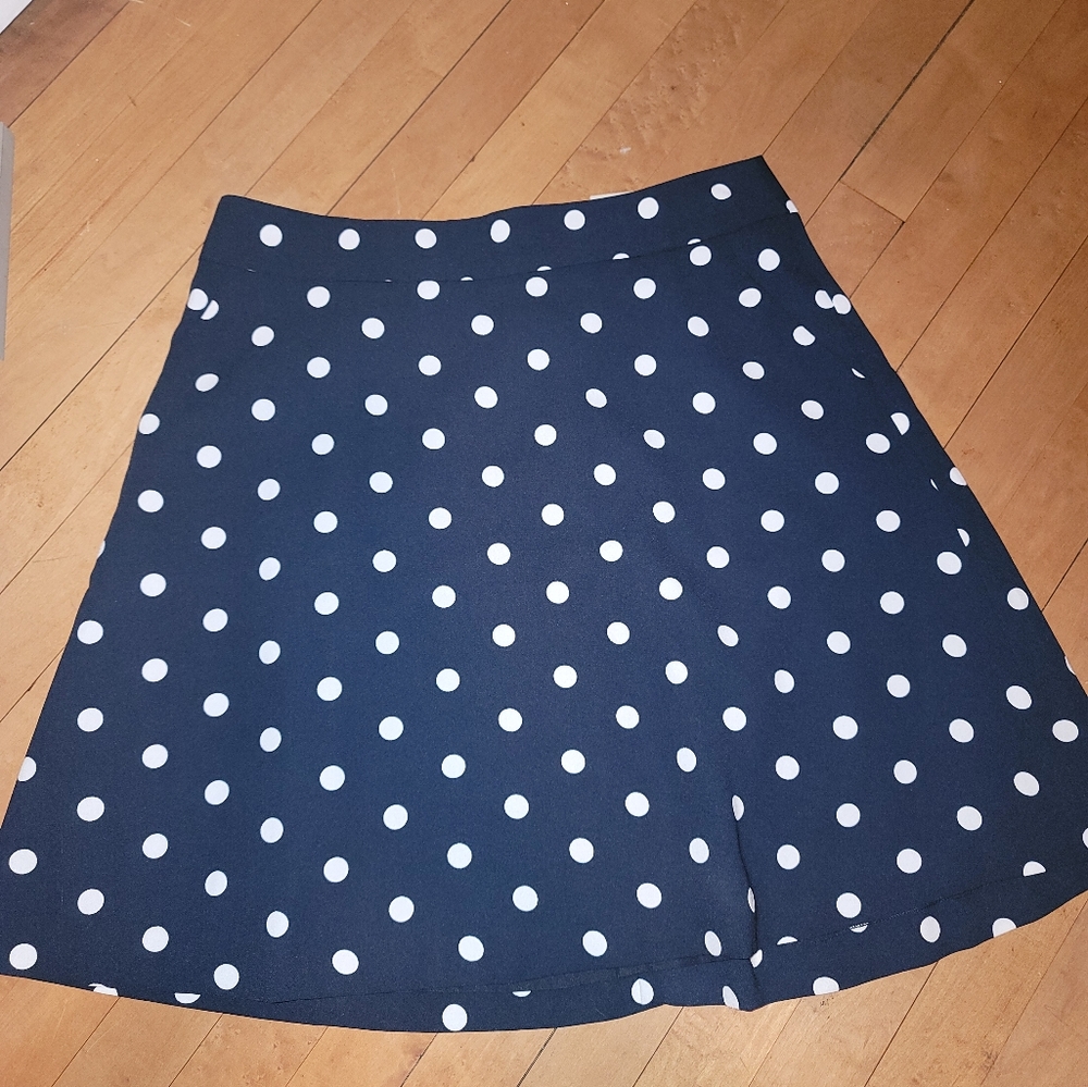 Ann Taylor polka dot skirt